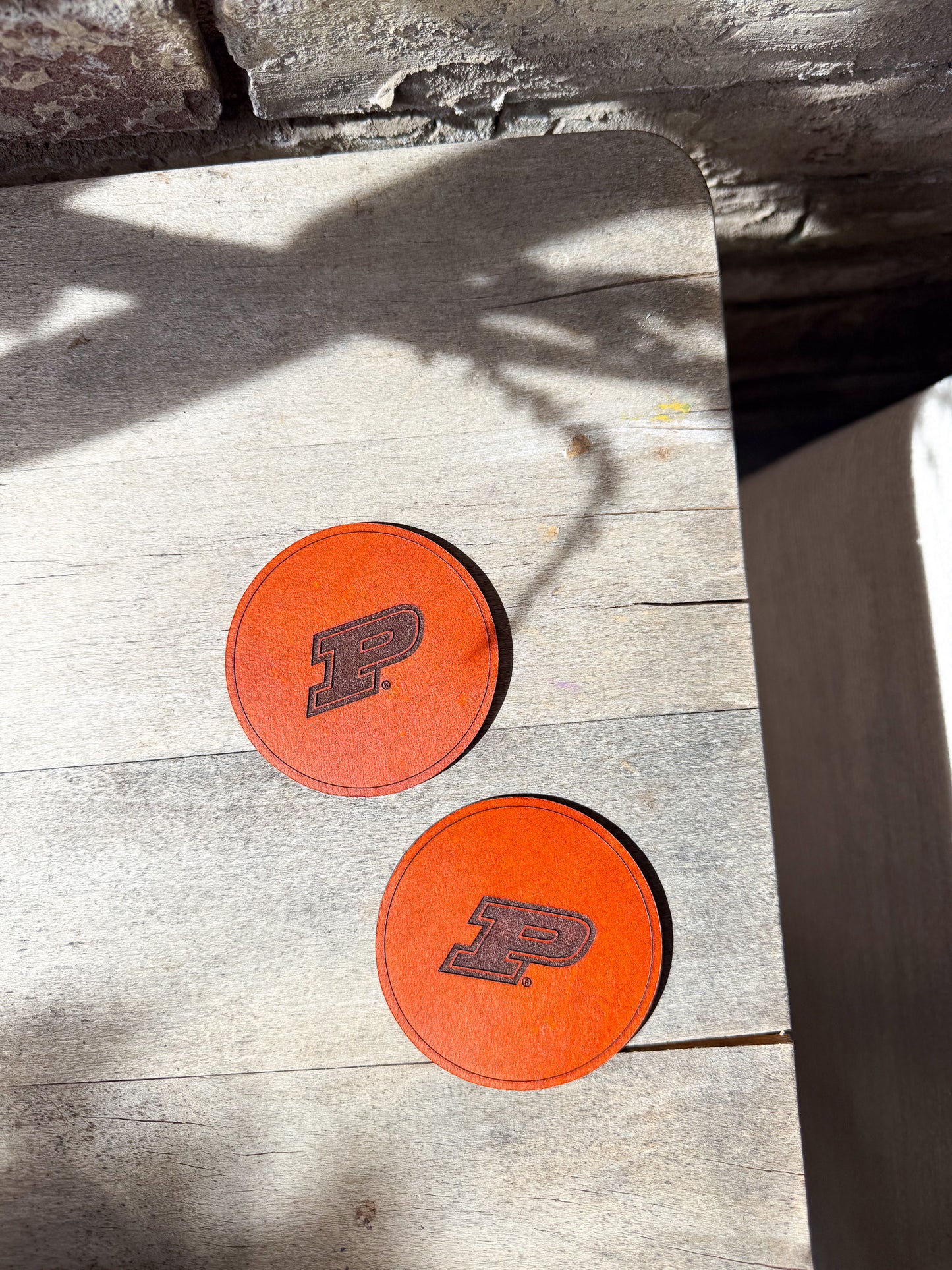 Purdue Motion P Coaster