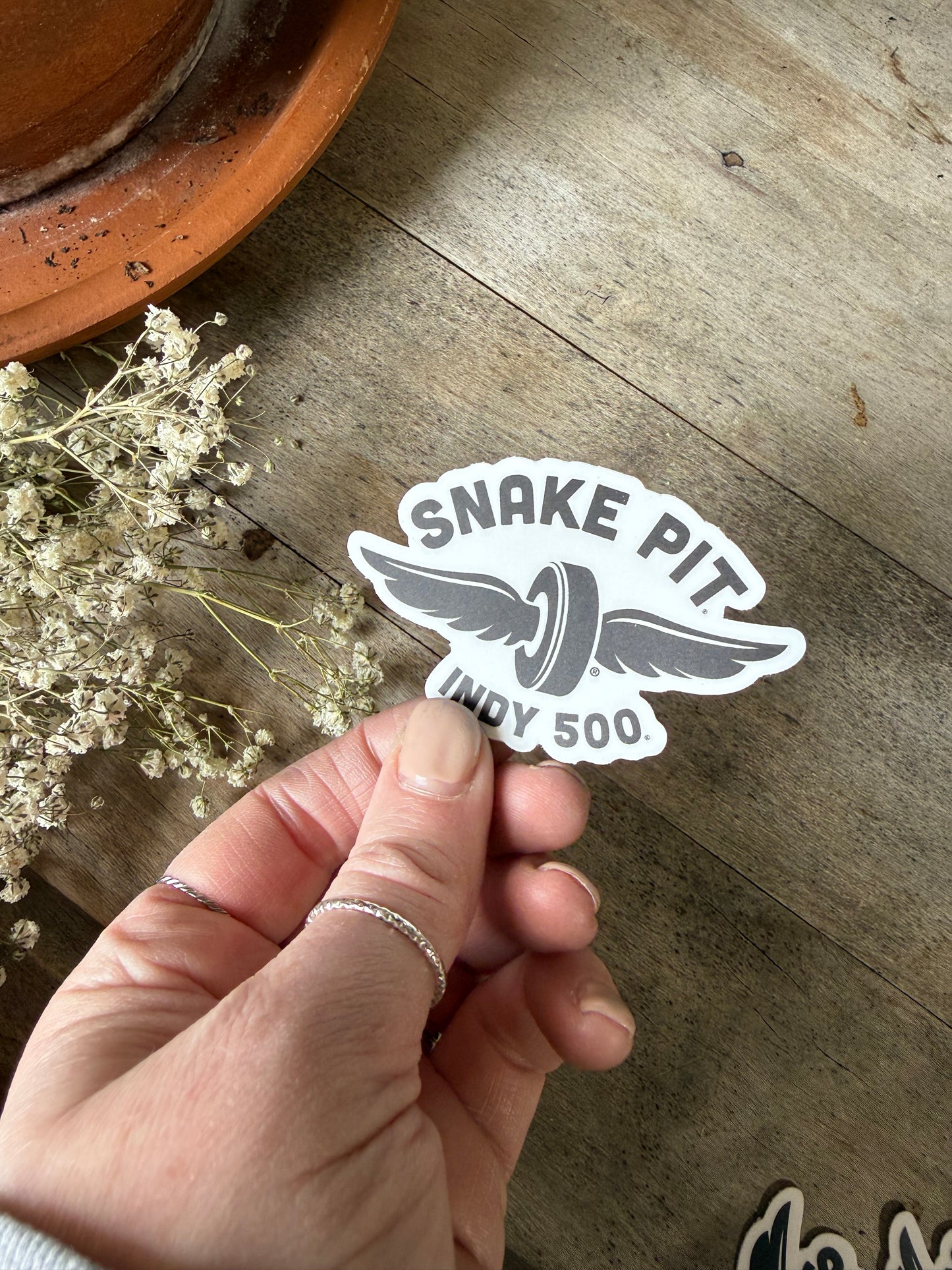 Snake Pit Sticker