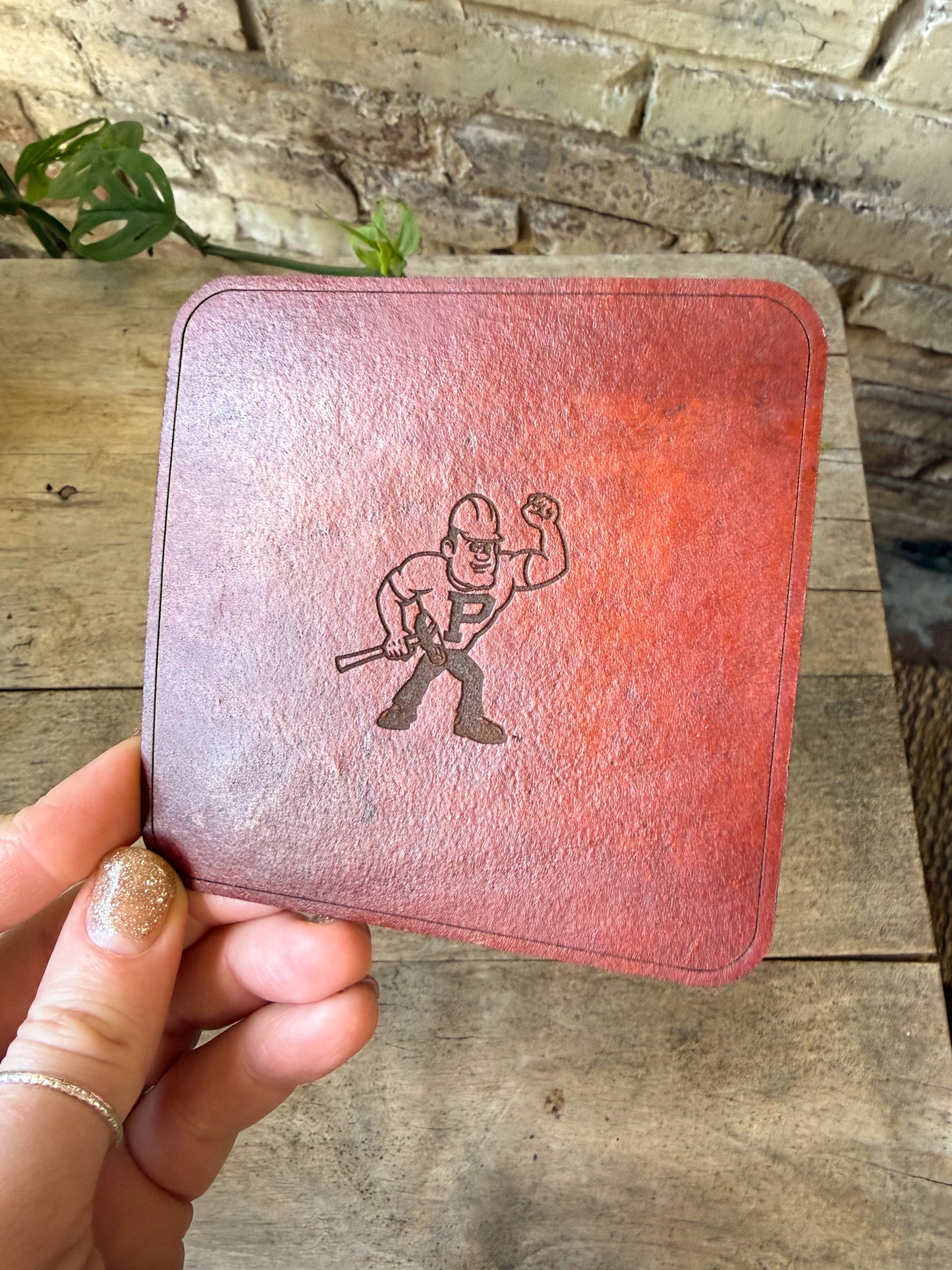Purdue Pete Coaster