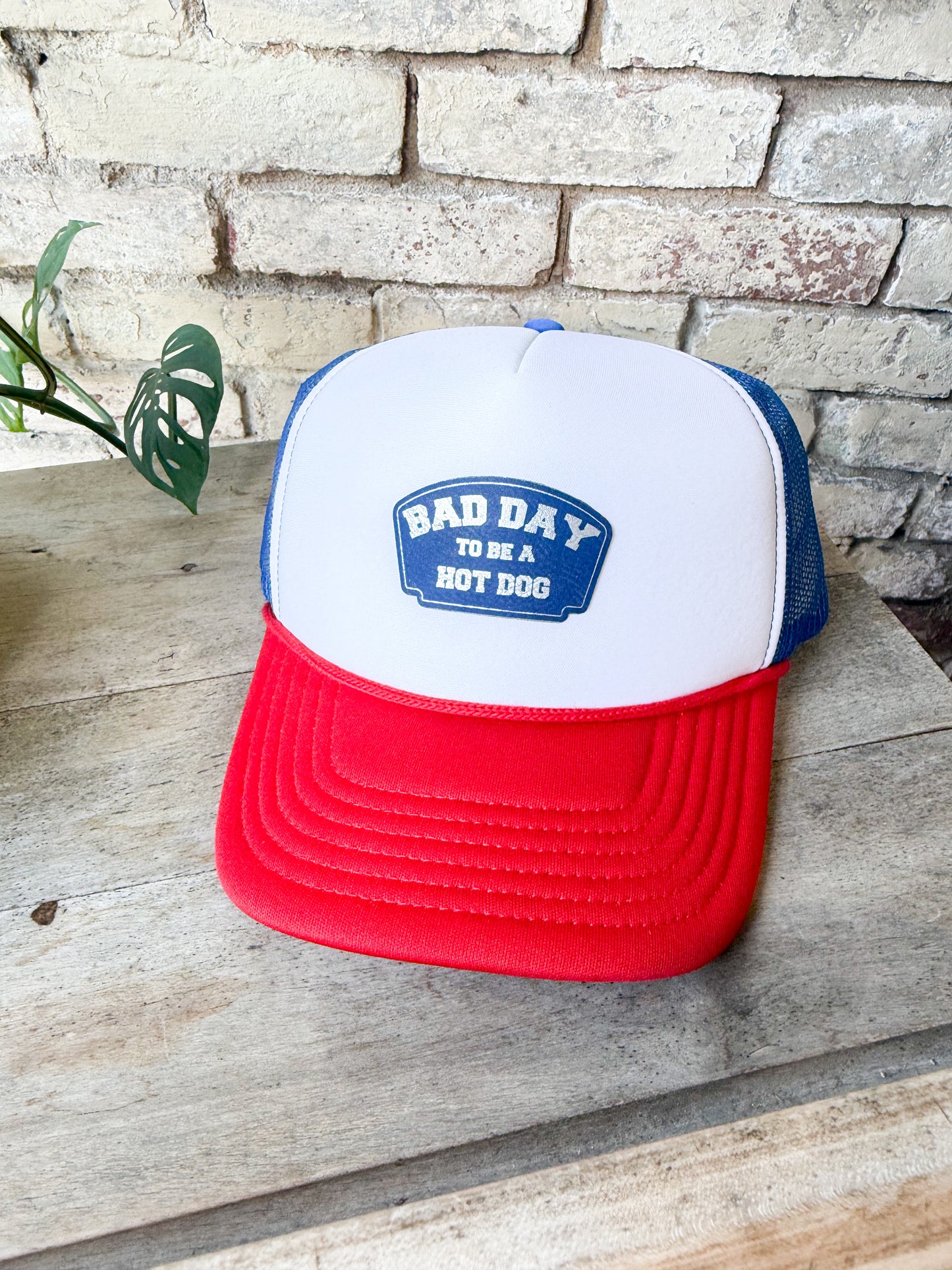 Bad Day To Be A Hot Dog Foam Hat