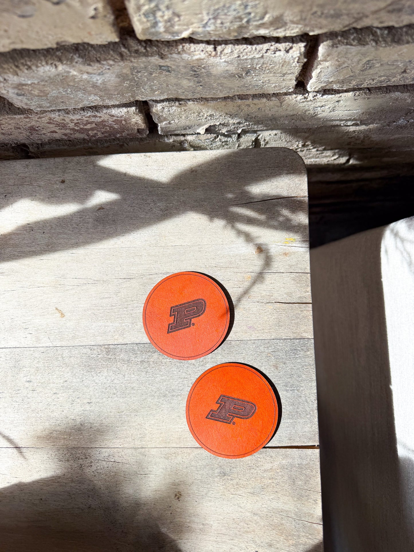 Purdue Motion P Coaster