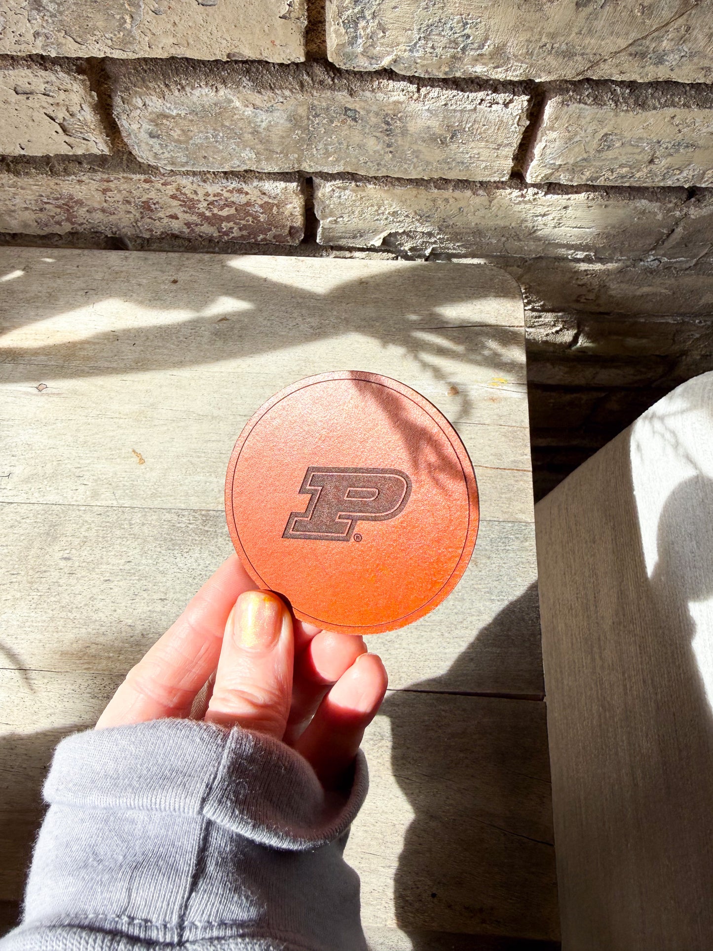 Purdue Motion P Coaster