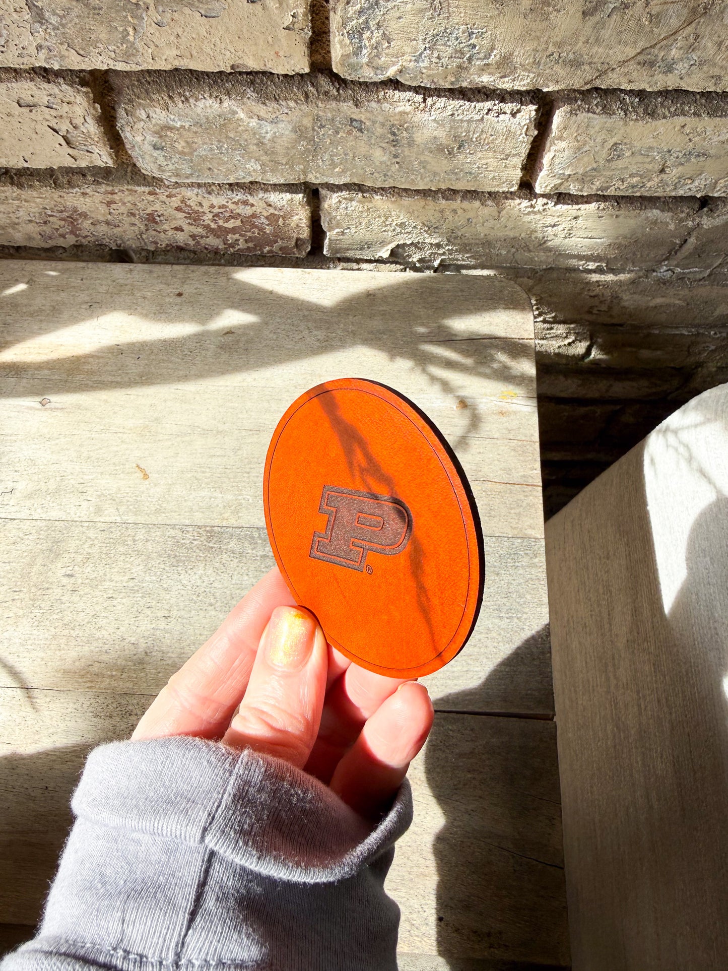 Purdue Motion P Coaster