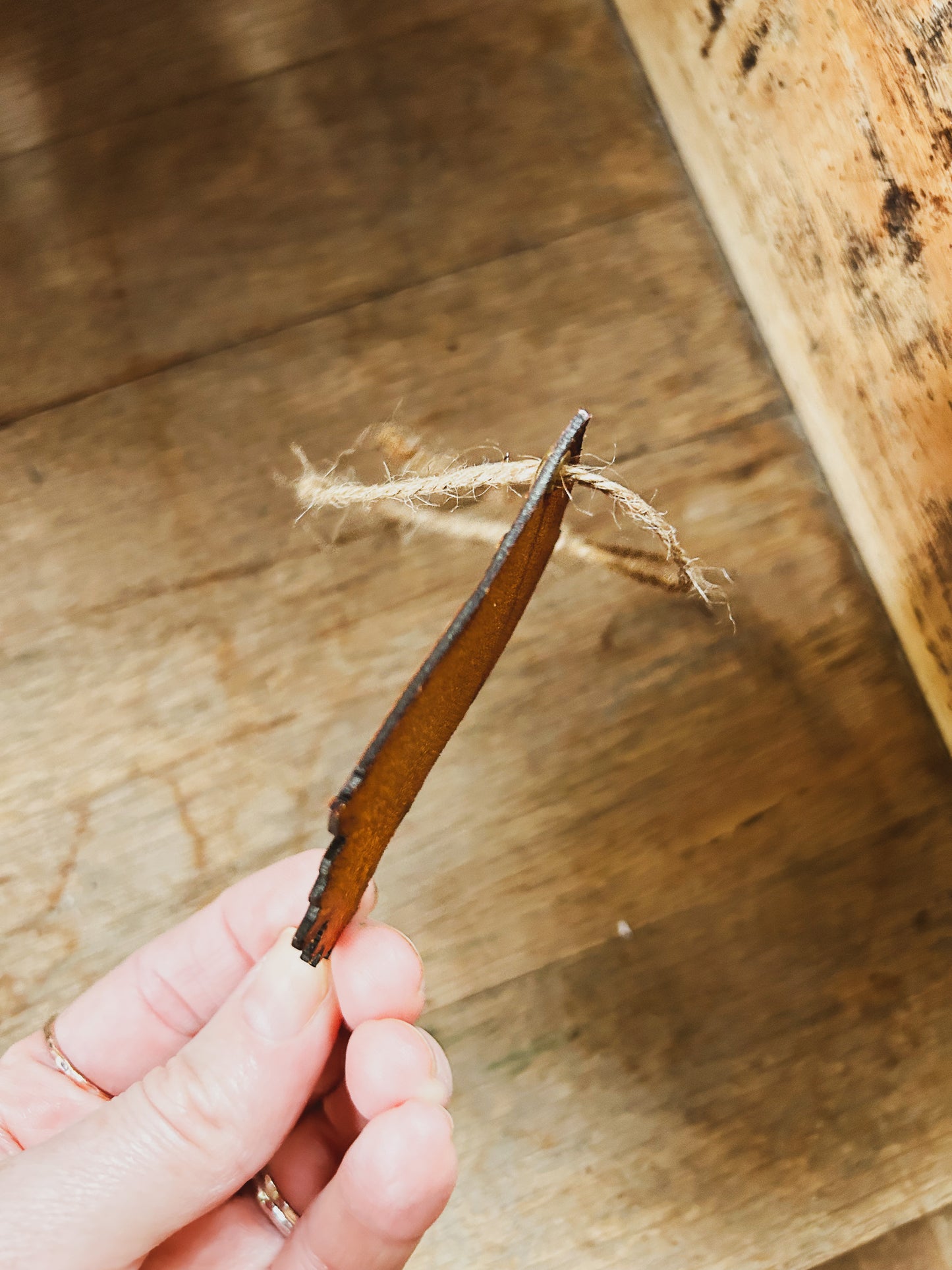 Indiana Racing Leather Ornament