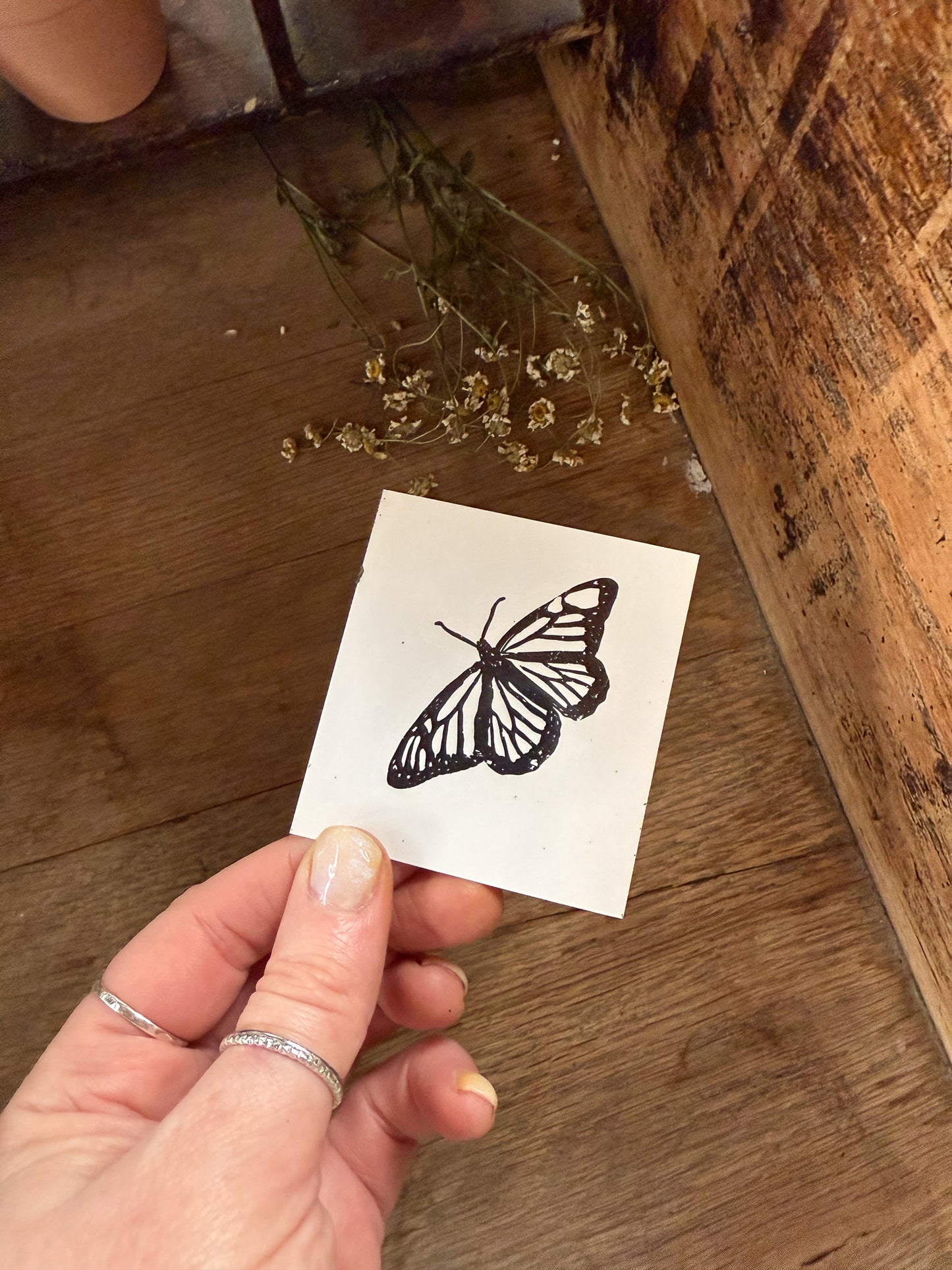 Butterfly Temporary Tattoo