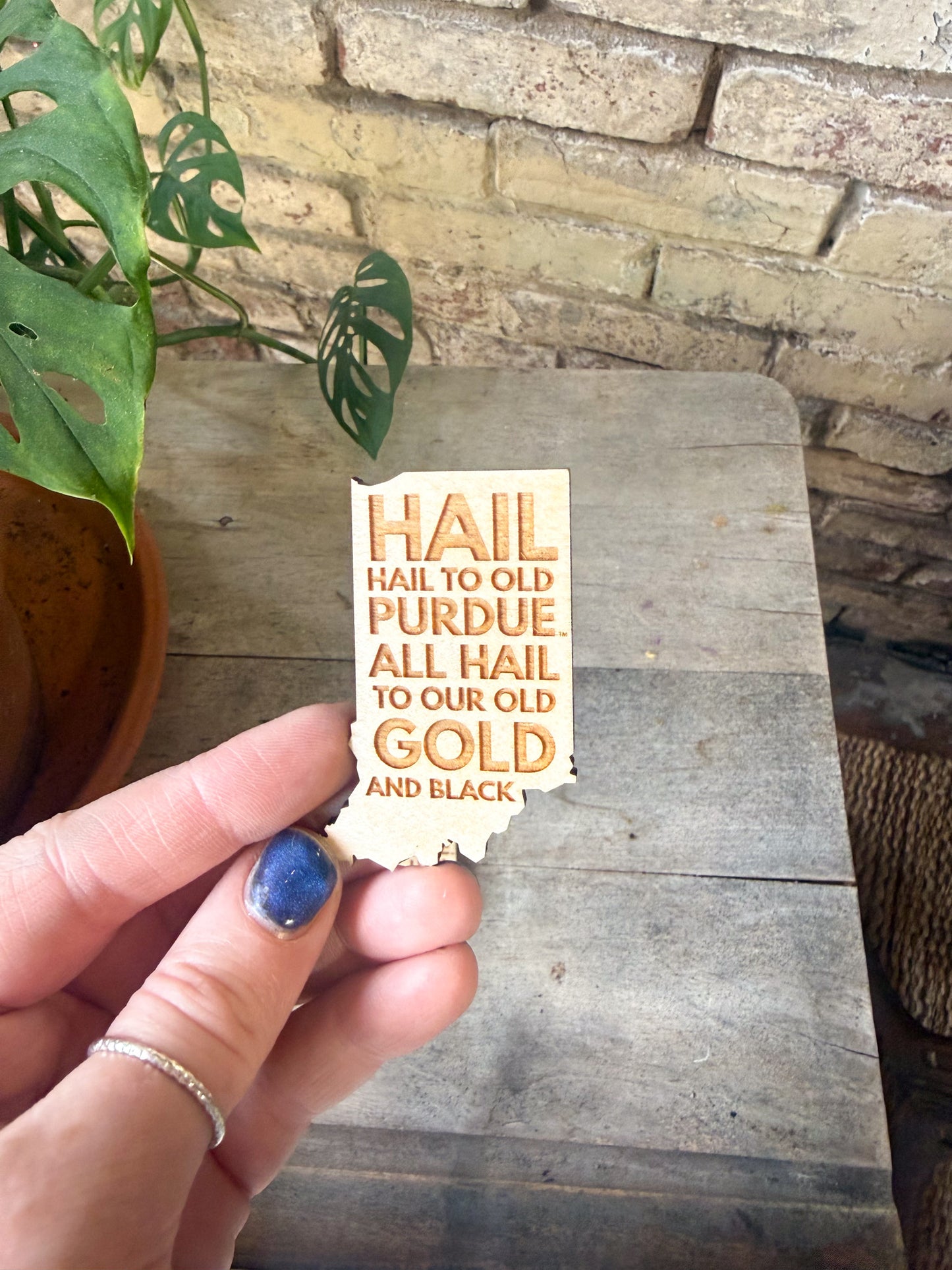 Indiana Hail Purdue Magnet