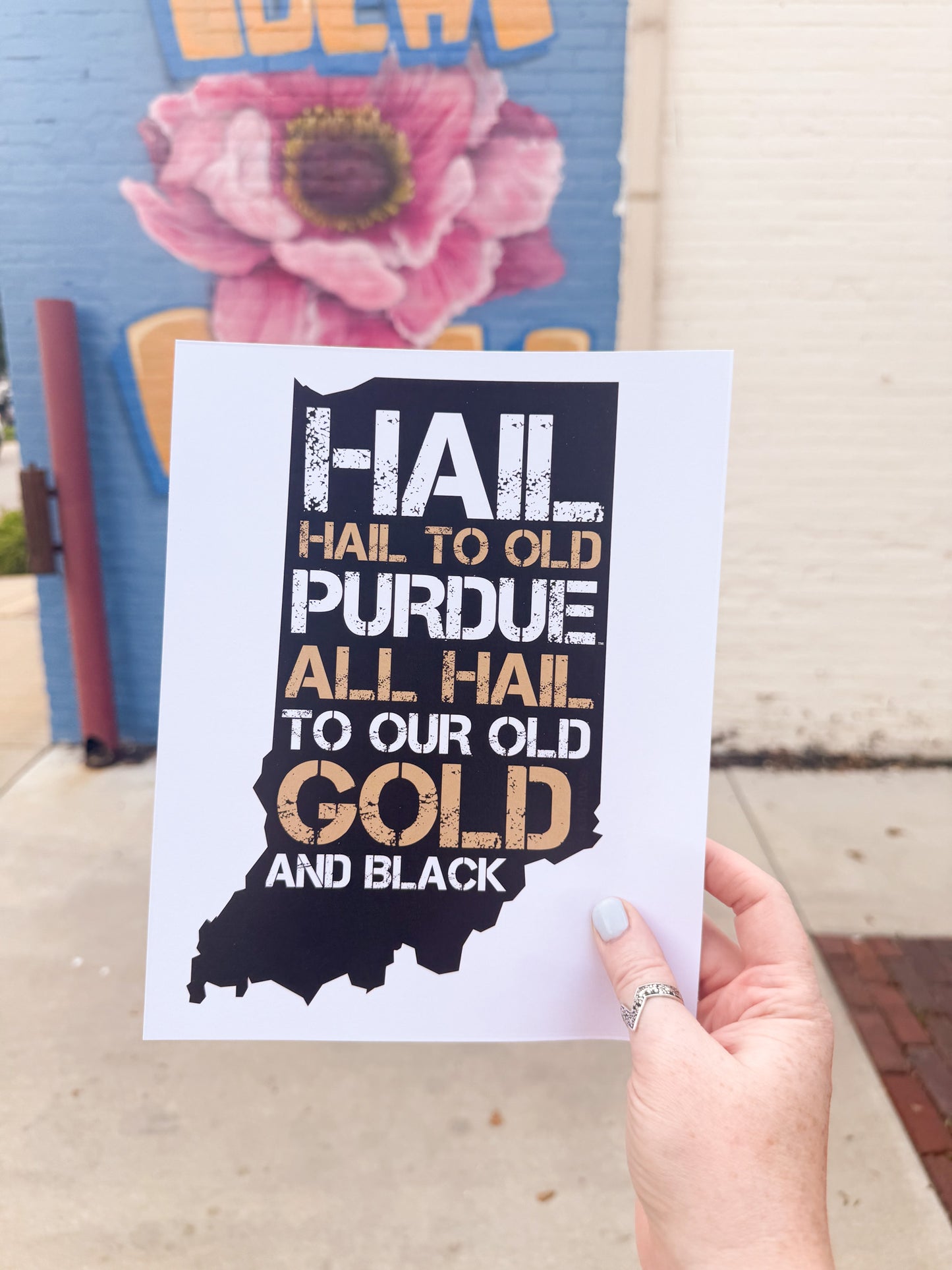 Hail Purdue Art Print
