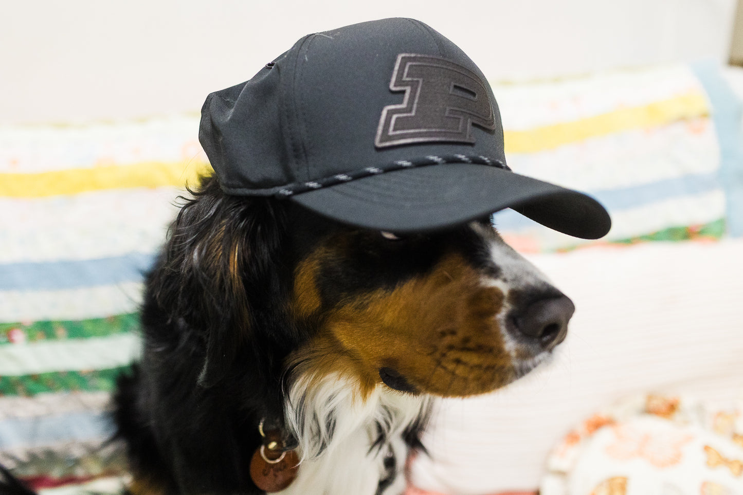 Purdue Motion P Leather Patch Hat - Black